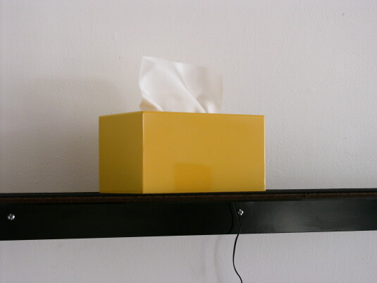 The phenomenon of tissue boxes placed on the rear shelves of automobiles (Super fly yellow 2CT)