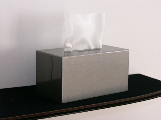 The phenomenon of tissue boxes placed on the rear shelves of automobiles (Tungsten Silver)