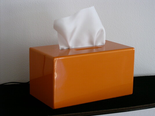The phenomenon of tissue boxes placed on the rear shelves of automobiles (Arancio Atlas Mic 2CT)