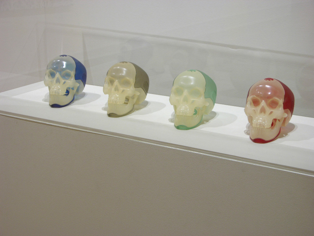 The image shows a long rectangular vitrine, which holds four plastic skulls. The back of each skull is coloured blue, brown, green and red respectively, while all the fronts of the skulls are the same shade of milky white. The skulls are semi-transparent. 
